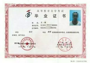 自考本科生比大專好嗎