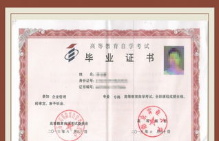 自考會計會計獨立本科