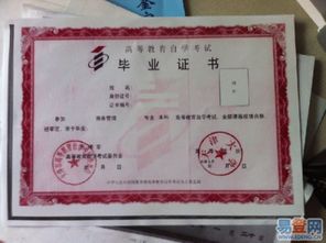 本科自考實(shí)踐報(bào)告