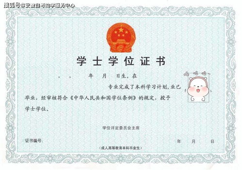 自考本科分幾類