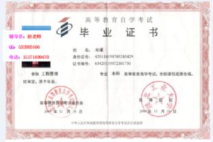 自考化工本科考試科目