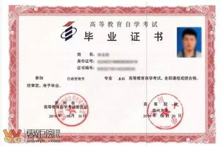 異地自考本科怎么報名