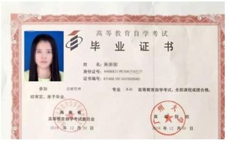 自考必須先專(zhuān)科再本科