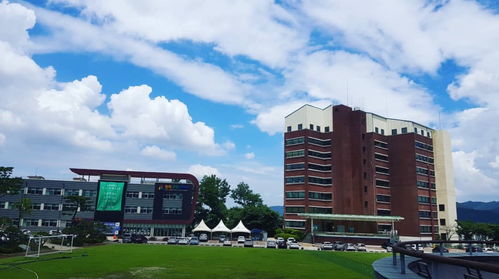 專升碩后還能自考本科嗎