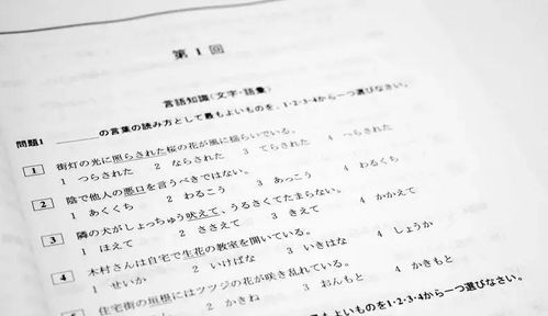 自考日語本科學(xué)什么