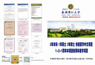 山東大學自考本科強化實踐