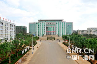 自考本科沒(méi)有畢業(yè)證