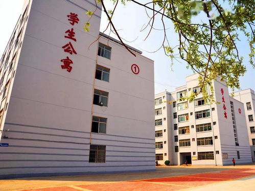 三二連讀可以自考本科嗎