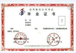 《財務會計與審計》專業(yè)自考本科