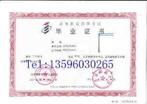 自考計算機專業(yè)本科就業(yè)