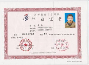 美術(shù)自考本科院校