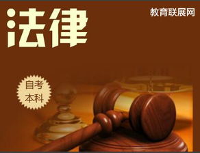 自考法律本科從事工作