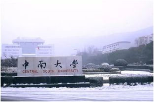 自考本科畢業(yè)證可以報(bào)研究生