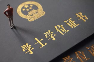 自考的本科學(xué)歷企業(yè)收嗎