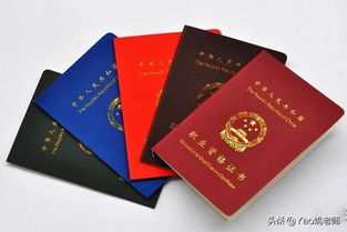 自考本科能考哪些資格證書