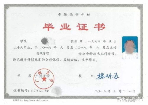 自考本科算全日制普通高校本科