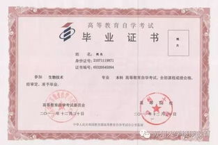 自考本科文憑不能進(jìn)銀行工作嗎