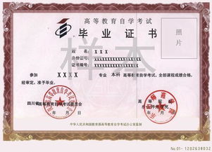 自考專科可以參加統(tǒng)招本科嗎