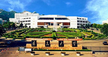 獨(dú)立本科和大自考