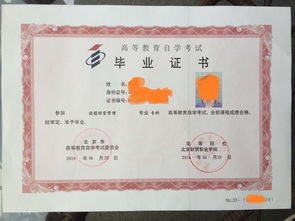 本科自考照片要求嗎