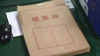 自考本科的檔案內(nèi)容是什么