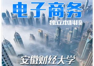 安徽財經(jīng)大學自考本科課程