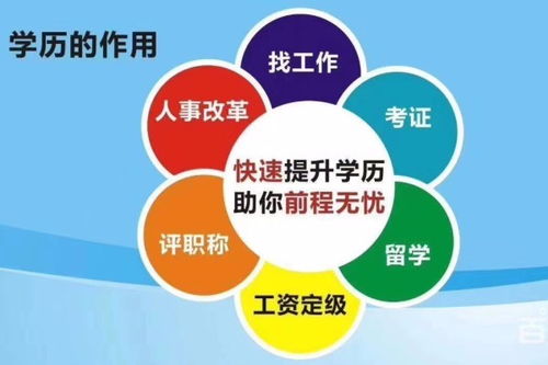 陜西歷史教育自考本科