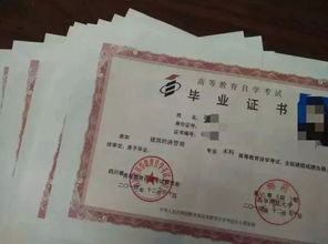 自考要求全日制本科嗎