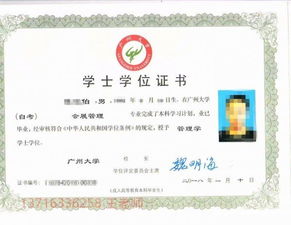 本科實(shí)驗班是自考嗎