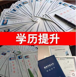 自考本科論文重要嗎