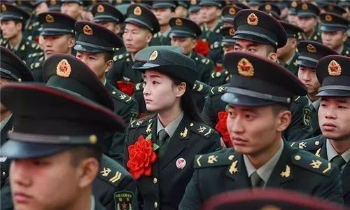 轉(zhuǎn)業(yè)士官安置自考本科定檔