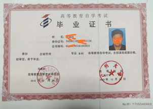 廣州自考本科護理科目