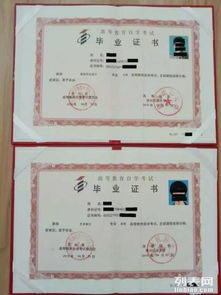 研究生自考本科生崗位