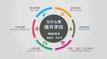 大專醫(yī)學(xué)自考別的本科有用嗎