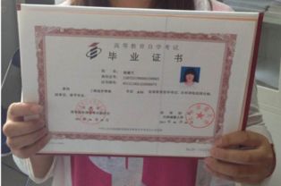 自考本科出國(guó)插板本科