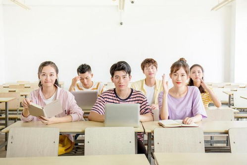 自考本科學(xué)信網(wǎng)怎么沒學(xué)籍