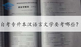 自考漢語言文學本科要幾