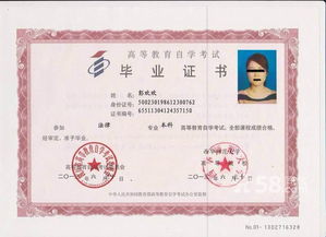 音樂(lè)教育有自考本科嗎