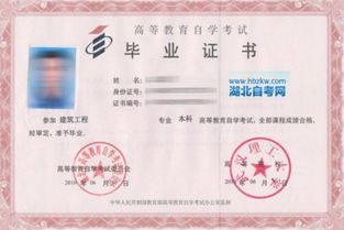 自考本科是每什么時候報名時間