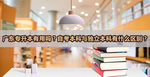 廣東省自考本科有效期