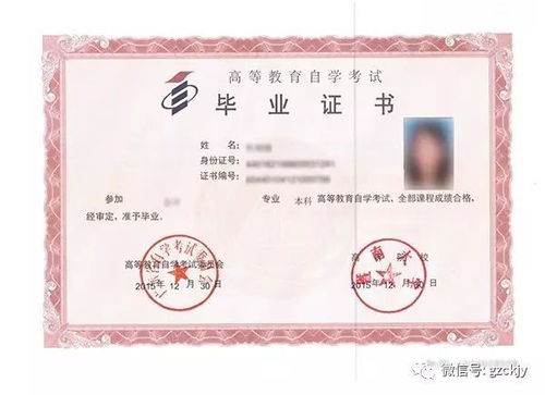 自考本科后能當老師嗎