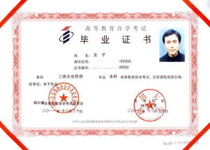 自考大?？梢粤魧W本科