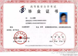 自考本科和專插本升本有什么區(qū)別