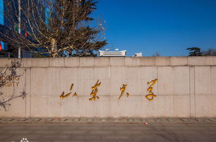 山東自考本科如何申請(qǐng)畢業(yè)