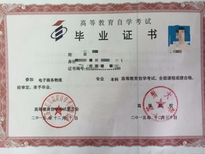 大專證沒拿到可以自考本科嗎