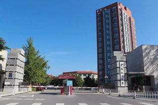 自考中國政法大學(xué)本科學(xué)歷