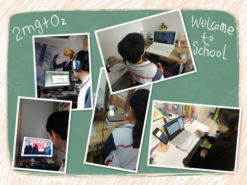 安全技術(shù)與管理自考本科