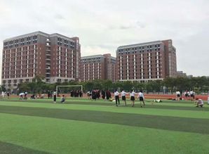 中山大學新華學院全日制自考本科