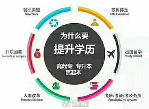 自考了本科可以不去讀大學(xué)嗎