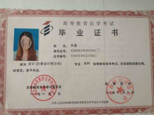 本科生參加自考本科